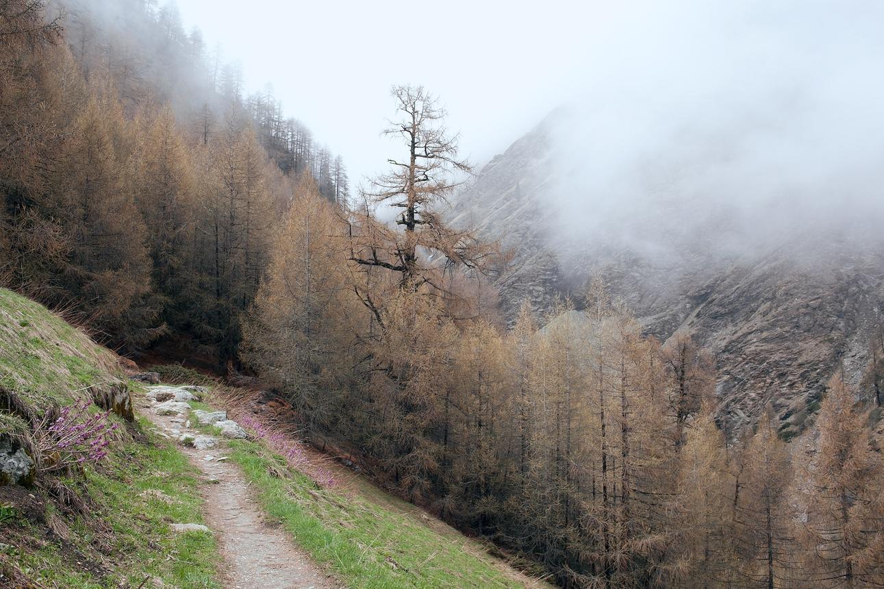 Vero adipisci voluptas necessitatibus aut dolorum et dolorem